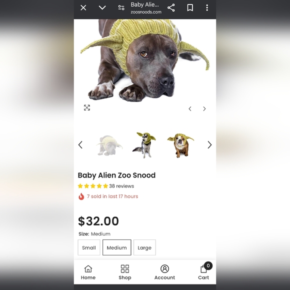 Baby Yoda/Alien Dog Snood - Picture 3 of 4